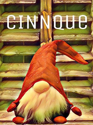 cover image of Cinnque